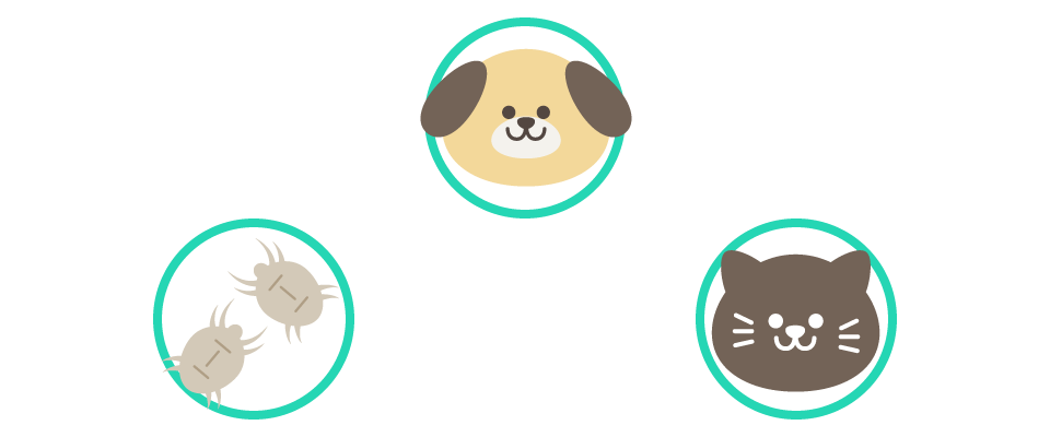 ハウスダスト系